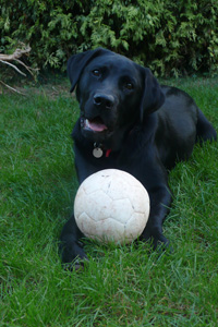 William with Ball